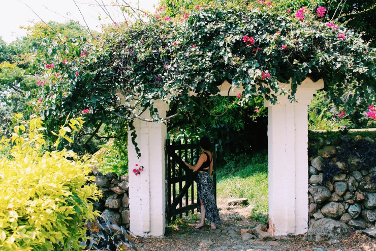 Processed with VSCO with c1 preset