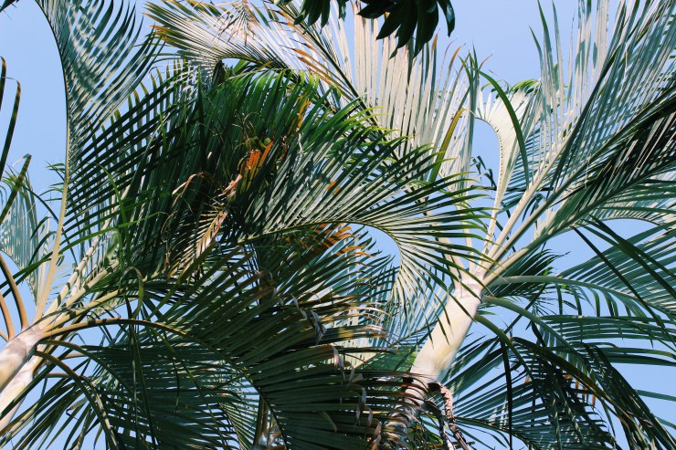 Processed with VSCO with c1 preset