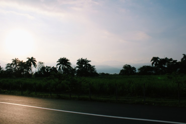 Processed with VSCO with c1 preset