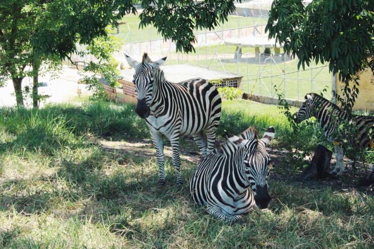 Processed with VSCO with f2 preset