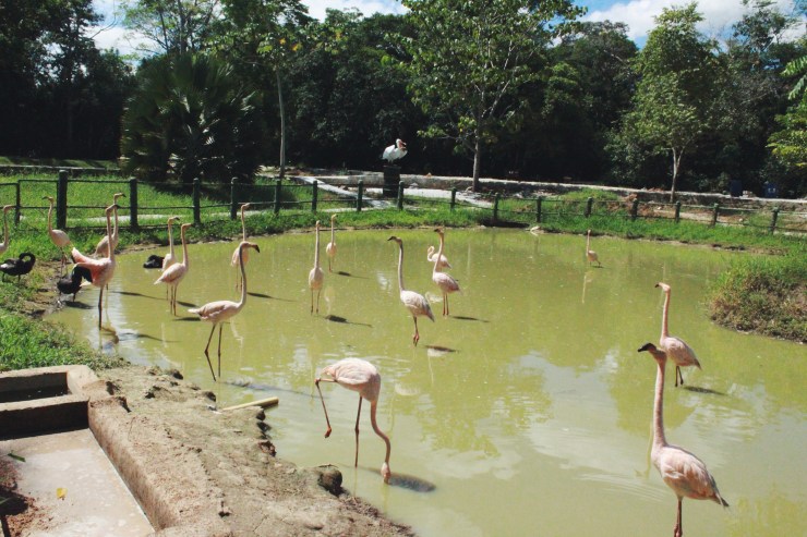 Processed with VSCO with f2 preset