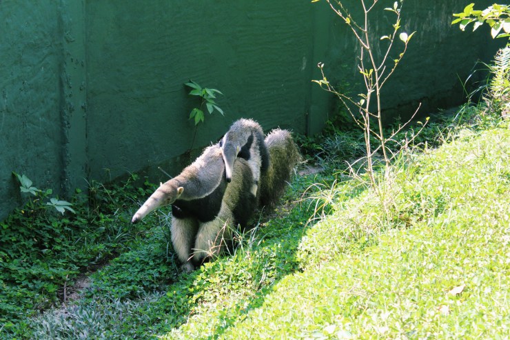 Processed with VSCO with c1 preset