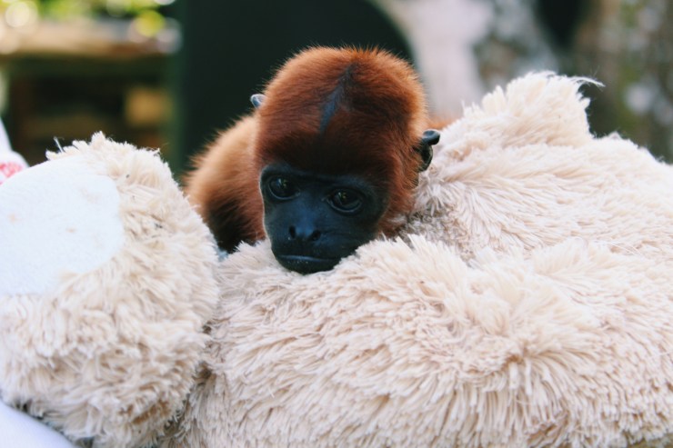 Processed with VSCO with c1 preset