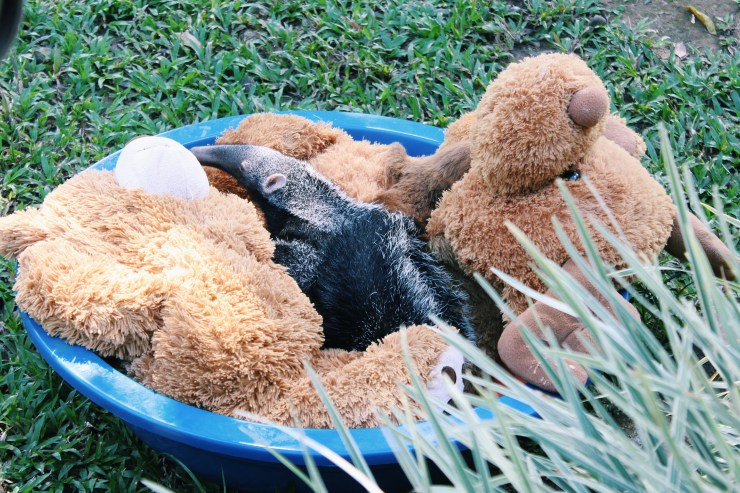 Processed with VSCO with c1 preset