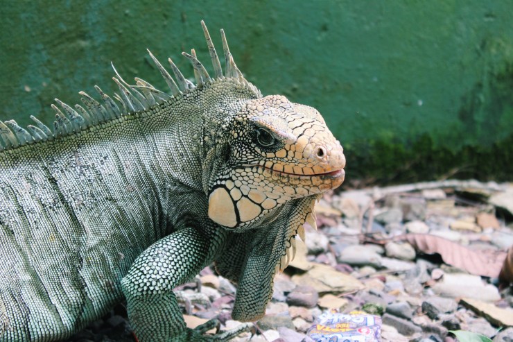 Processed with VSCO with c1 preset