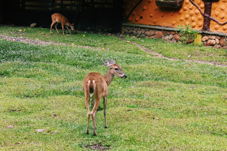 Processed with VSCO with c1 preset