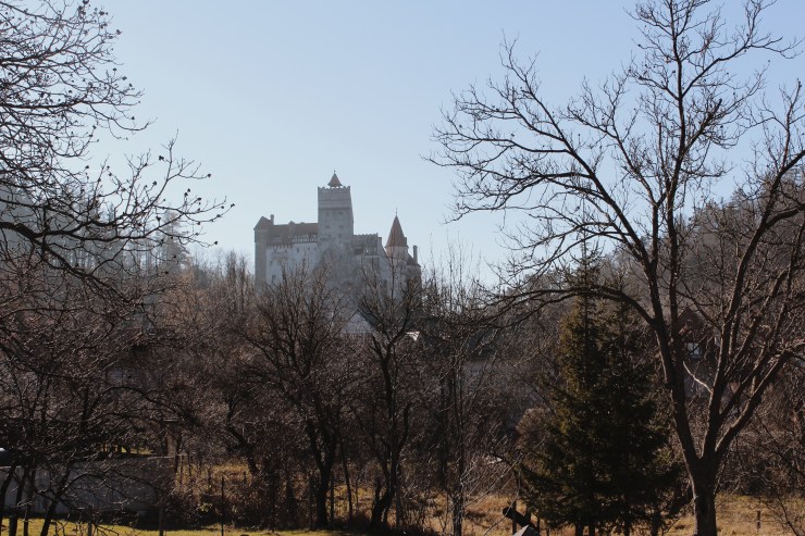 Processed with VSCO with m5 preset