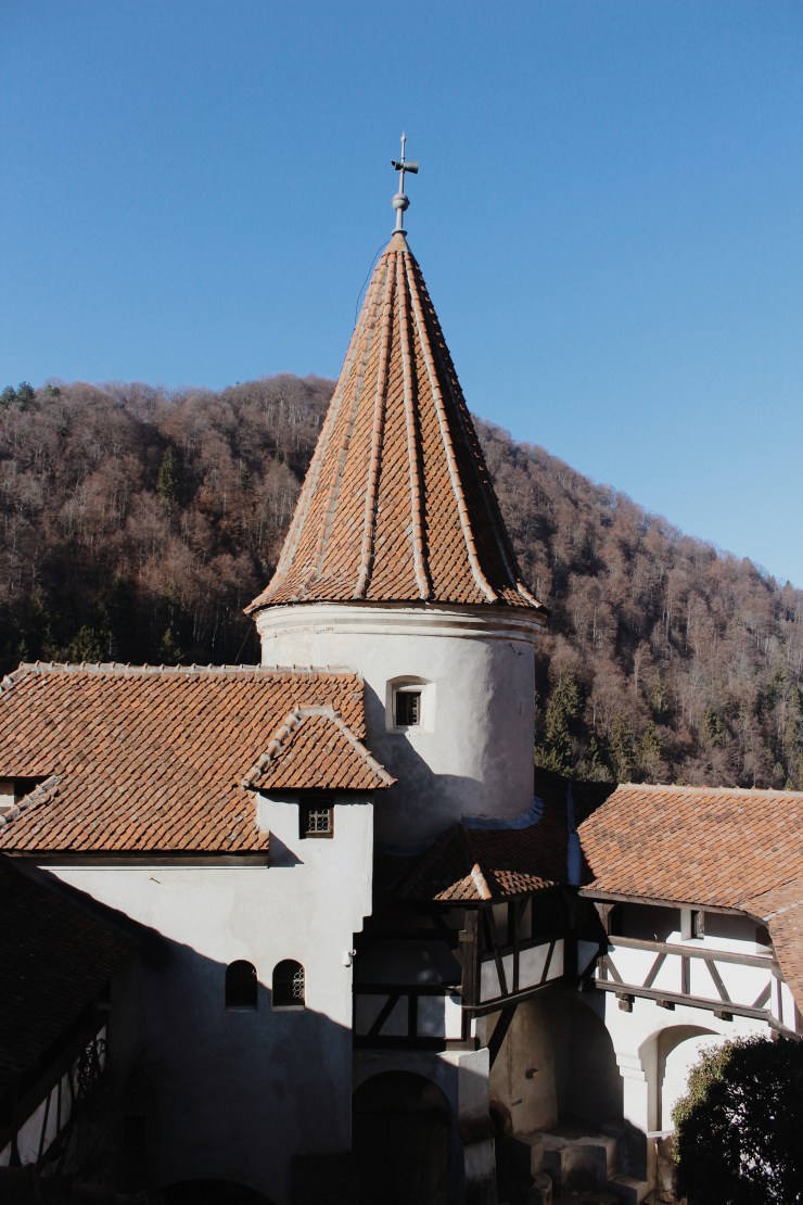 Processed with VSCO with m5 preset