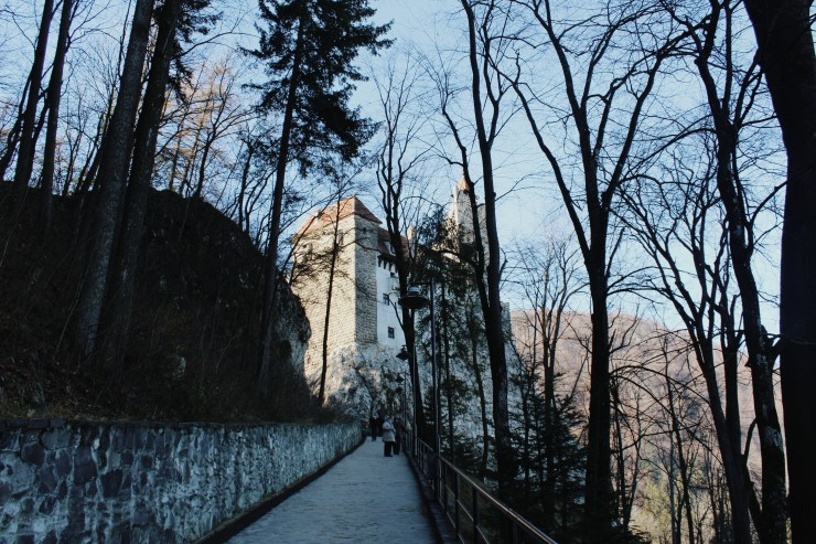 Processed with VSCO with m5 preset