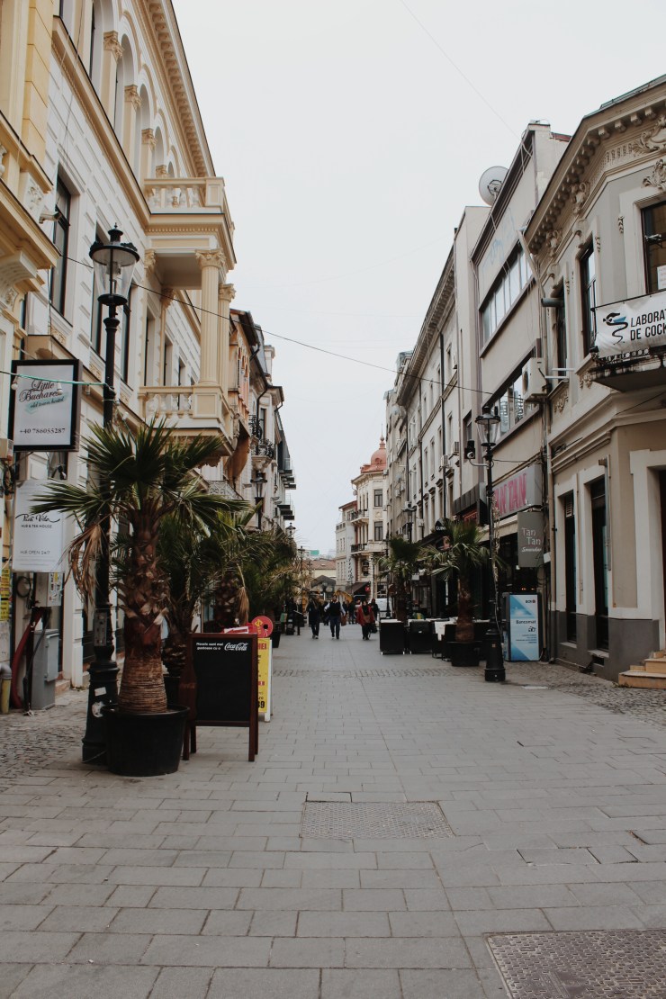 Processed with VSCO with m5 preset