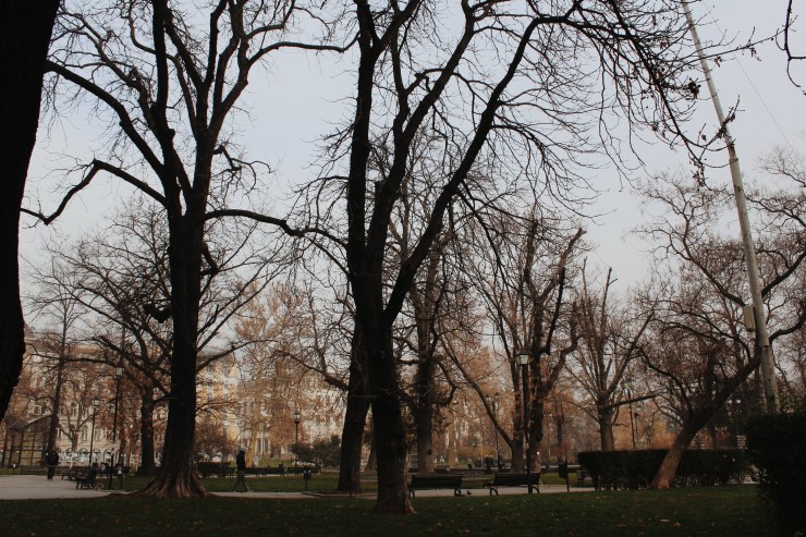 Processed with VSCO with m5 preset