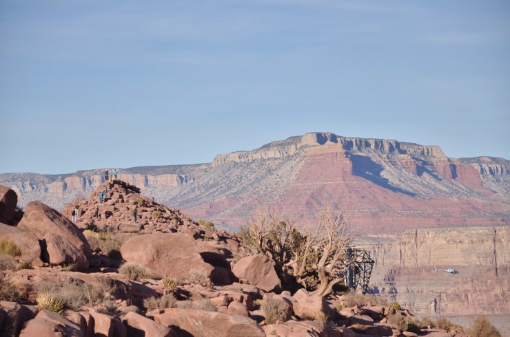 Processed with VSCO with m5 preset