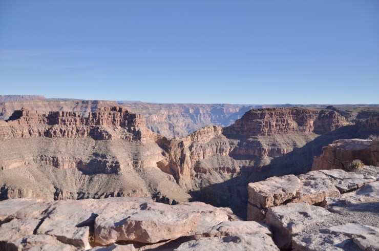 Processed with VSCO with m5 preset