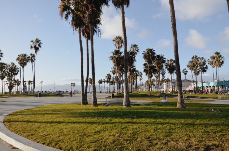 Processed with VSCO with m5 preset