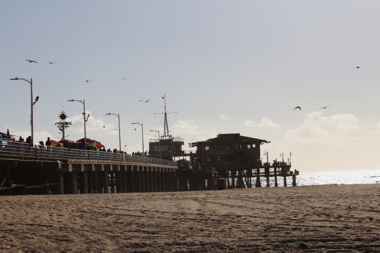 Processed with VSCO with m5 preset