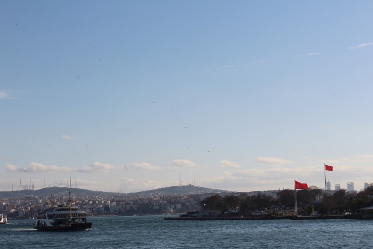 Processed with VSCO with m5 preset