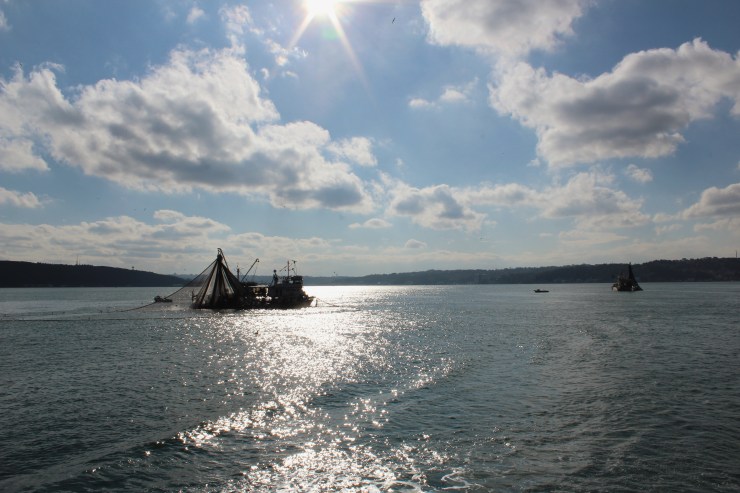 Processed with VSCO with m5 preset