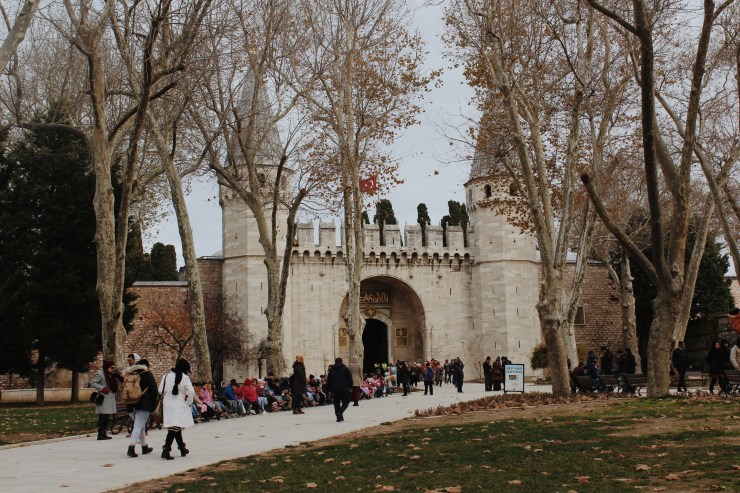 Processed with VSCO with m5 preset